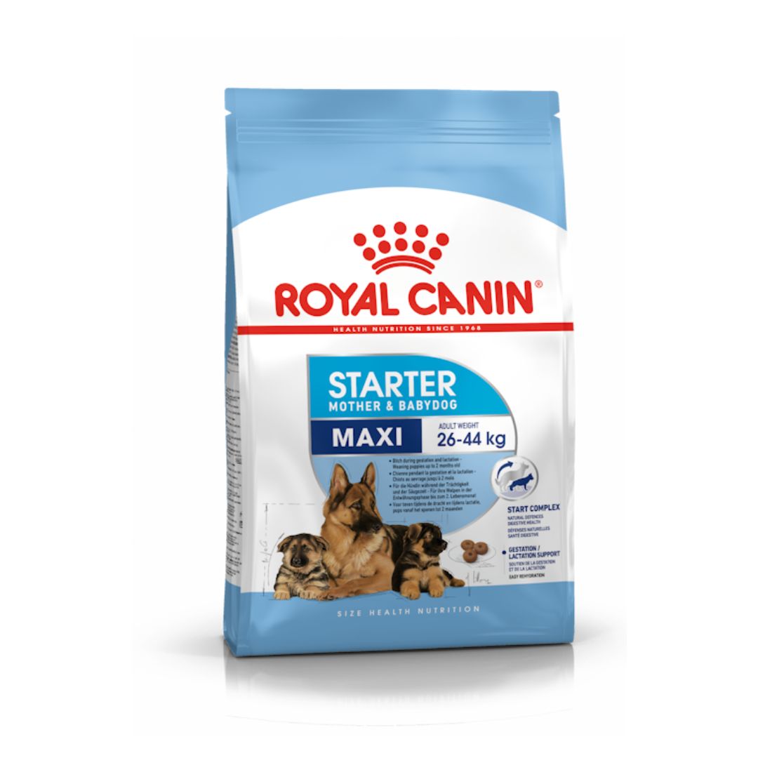 Royal Canin Maxi Starter