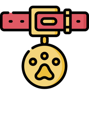 PET ACCESSORIES