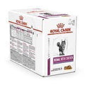Royal Canin Cat Jelly- Renal with Chicken 85 GM